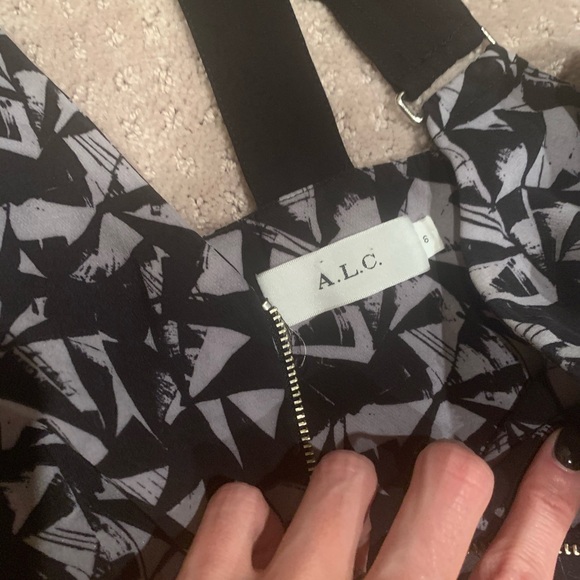 A.L.C. Patti silk dress 6 *FLAW* - Picture 6 of 9
